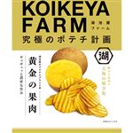 코이케야 KOIKEYA FARM 황금 과육 소금 맛 55g (GCASNK)